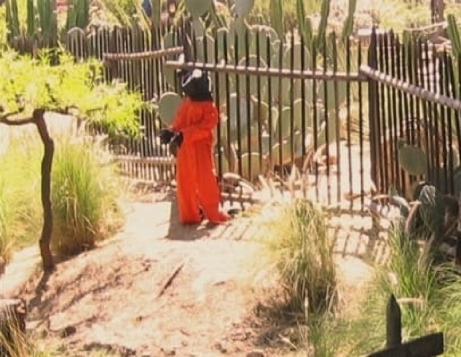 Banksy, Disneyland Guantánamo Detainee