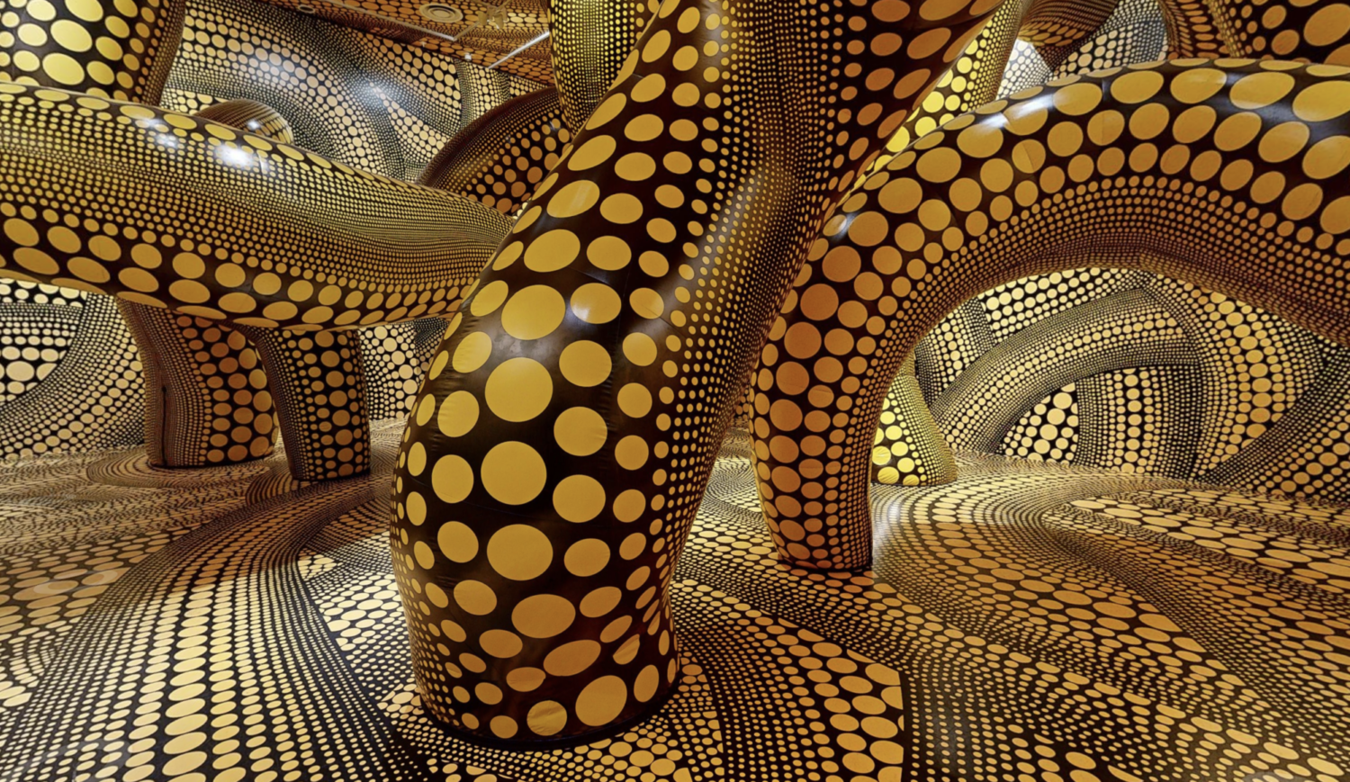 National Gallery of Victoria Retrospective